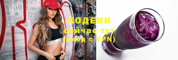 твердый Лагань