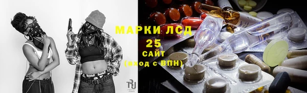 твердый Лагань