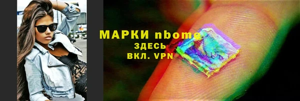 твердый Лагань