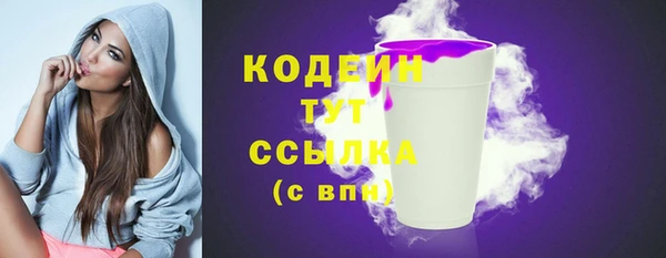 твердый Лагань