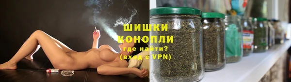 твердый Лагань