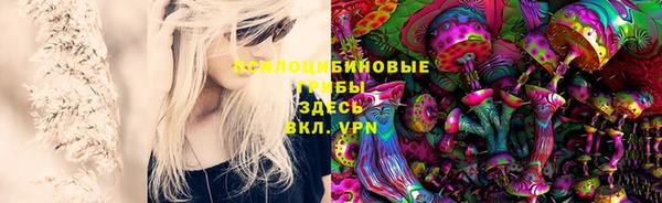 соль ск Лабытнанги