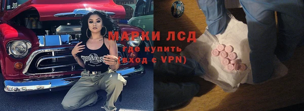 спайс Ладушкин