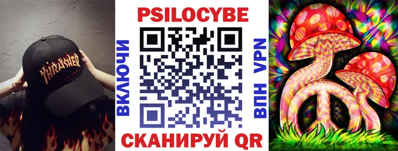закладки  Чердынь  Галлюциногенные грибы Psilocybe 